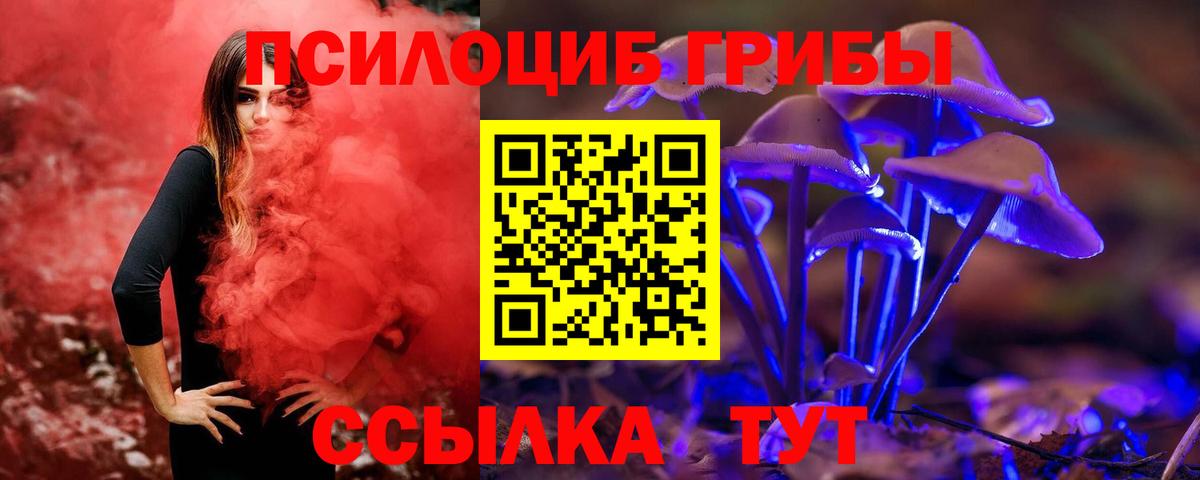 Псилоцибиновые грибы Psilocybine cubensis  Вход с VPN  Каменск-Уральский 